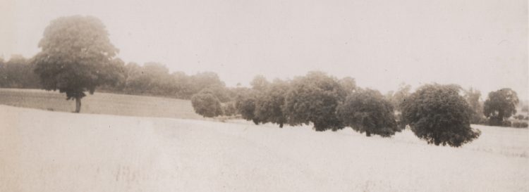 Substratum (reframed field photograph) Eleanor Bowen