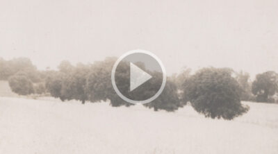 Borderland (video thumbnail)