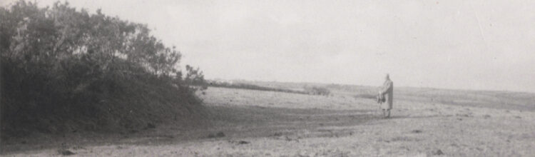 Black and white photograph of man looking at bushes in landscape